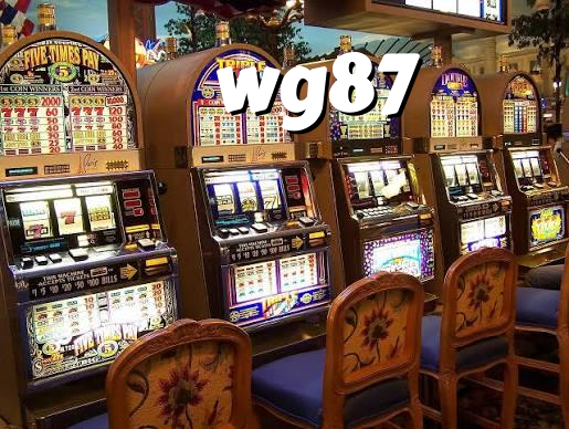 wg87 banner